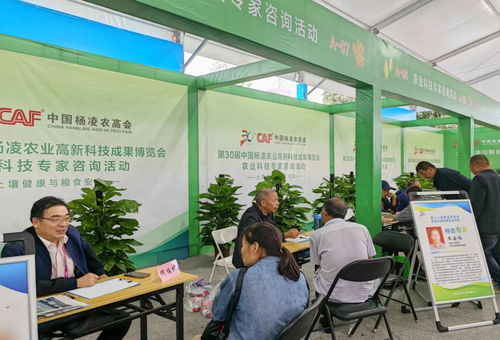 第三十屆中國楊凌農(nóng)業(yè)高新科技成果博覽會(huì)開幕，揭秘現(xiàn)代農(nóng)業(yè)技術(shù)咨詢新趨勢